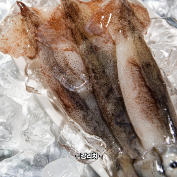 오징어 삶는 방법