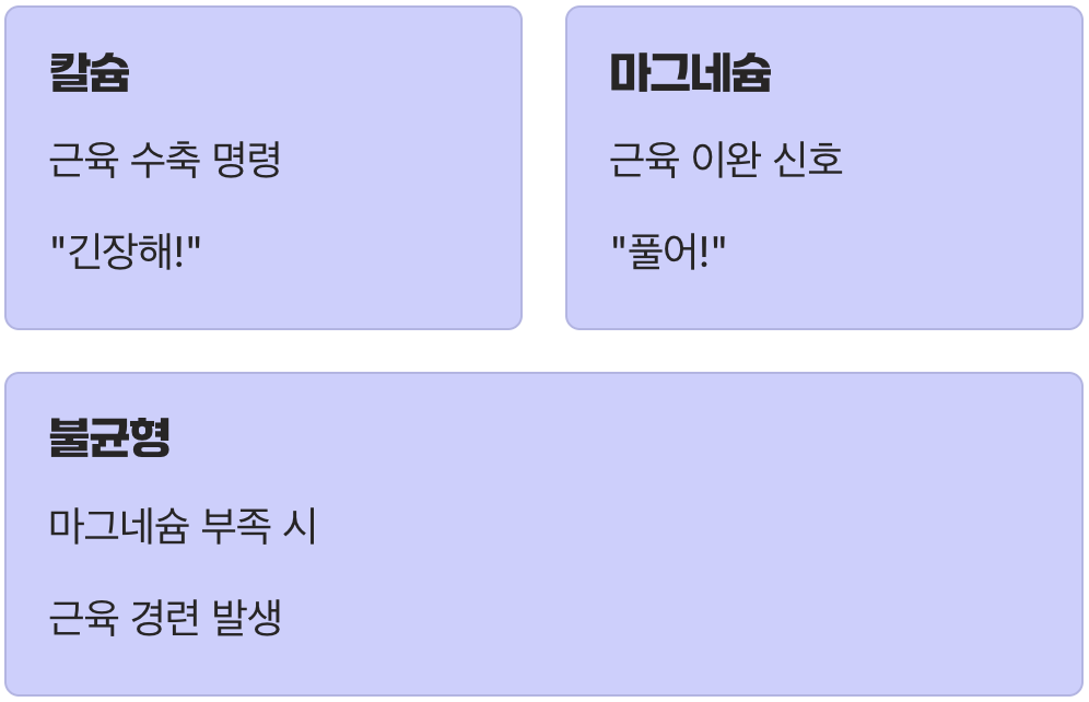 우리 근육의 ‘스위치’