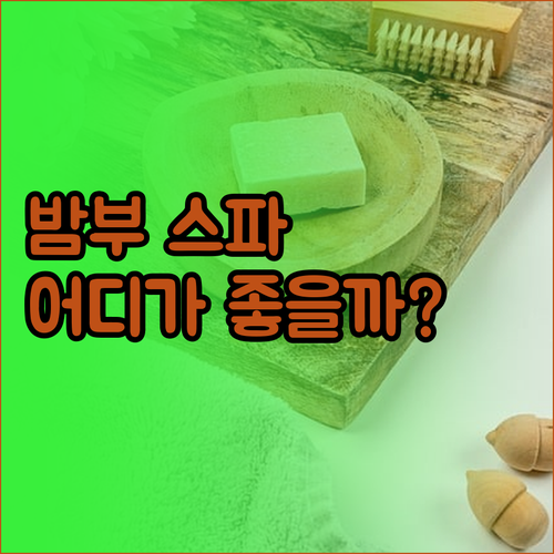 사파 숙소 추천 밤부 스파 호텔 vs