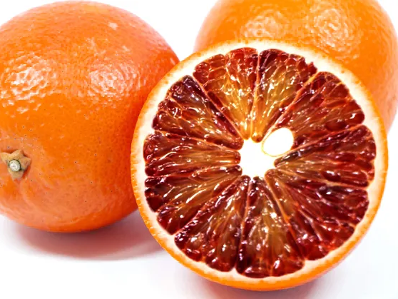 블러드 오렌지인 모로 오렌지