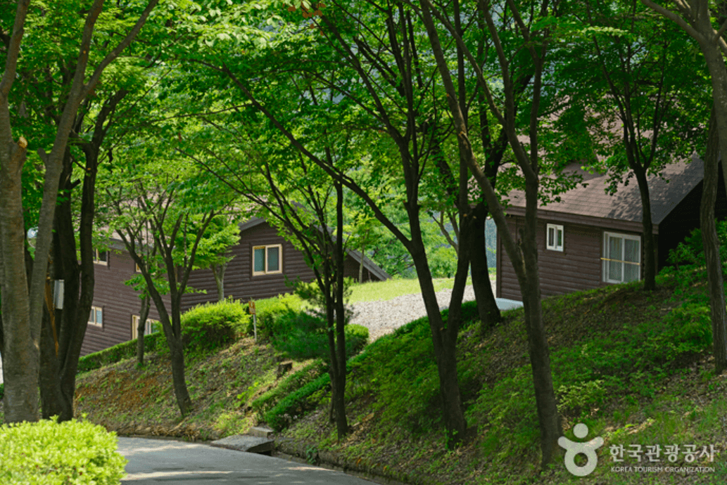 4. 공립 계명산 자연휴양림