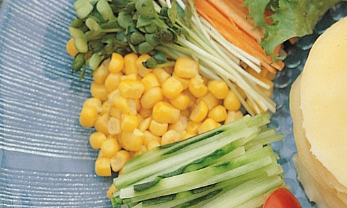 다이어트 보조제 식품 알고 먹자