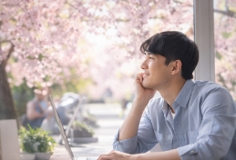 스프링 피버 뜻
