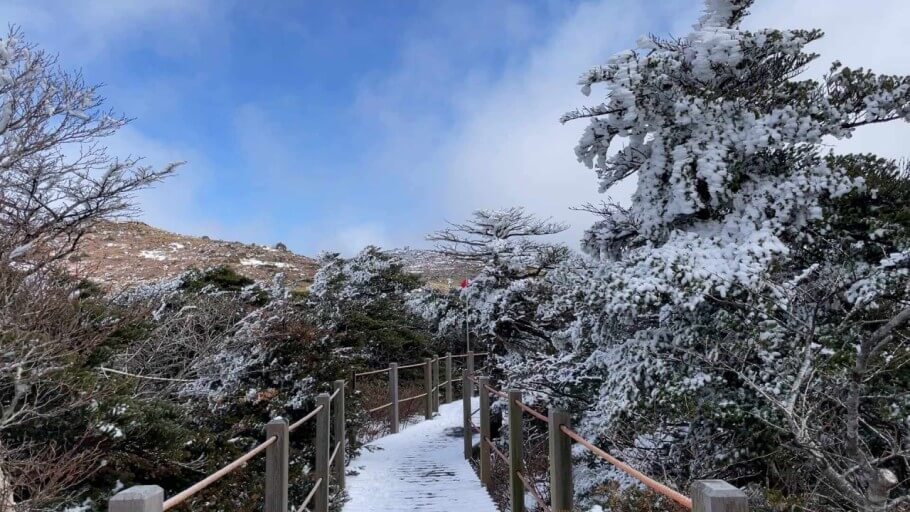 겨울 한라산