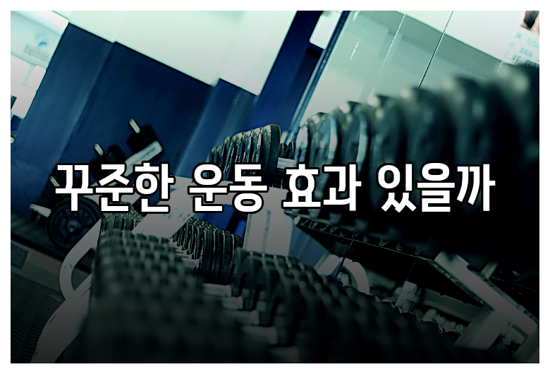 꾸준한 운동 효과 있을까