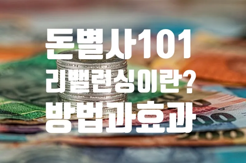 포트폴리오 재분배 리스크 관리 분산 투자 기간별 전략_2