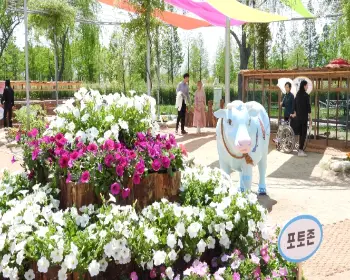 함평나비축제_7