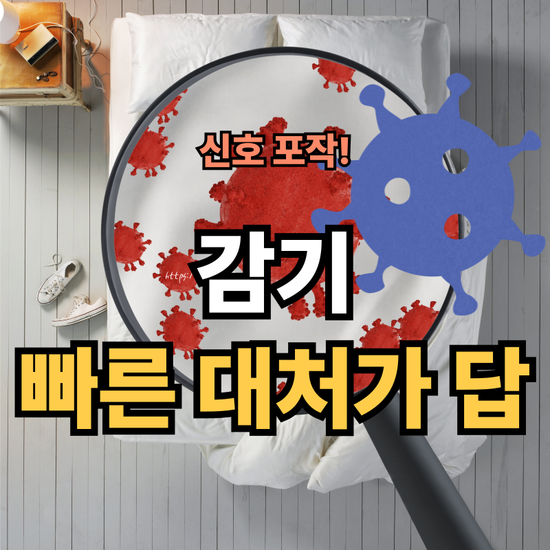 감기? 아직 늦지 않았다! 초기증상 알아채고 빠르게 낫는 방법