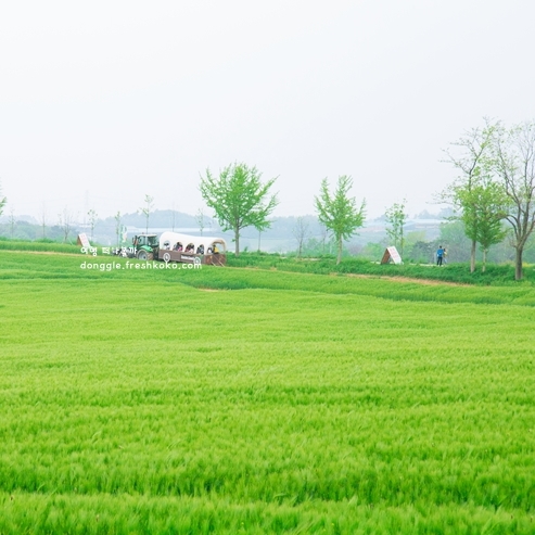 5월 여행지 추천