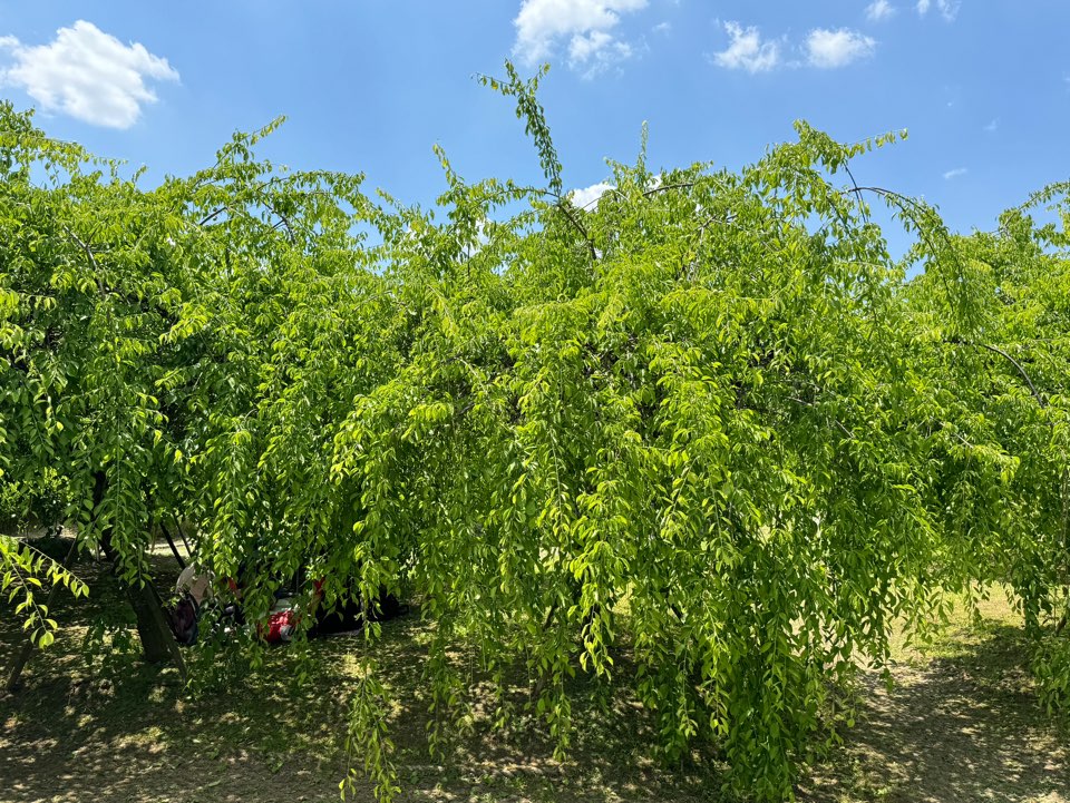 서울대공원