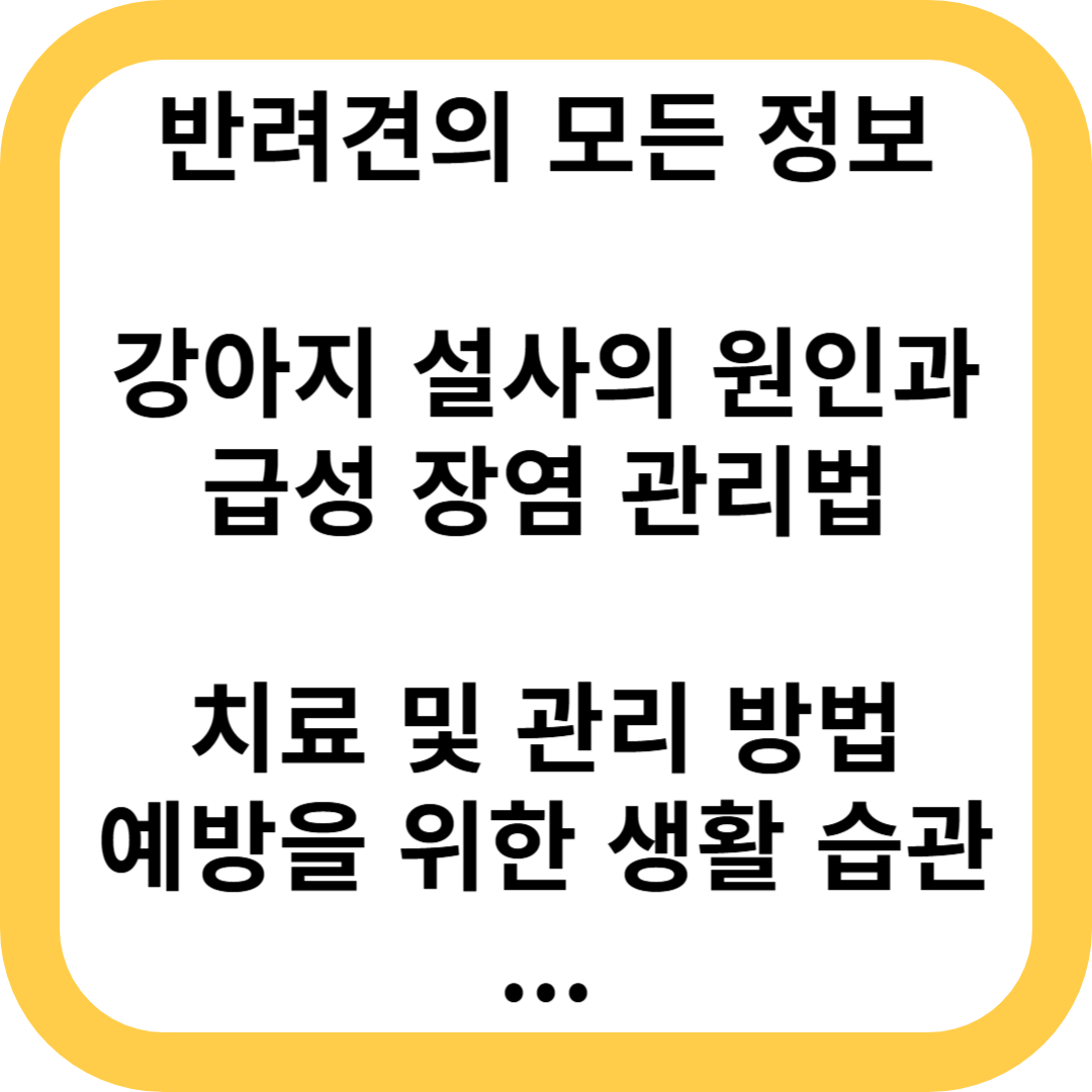 강아지 설사의 원인과 급성 장염 관리법