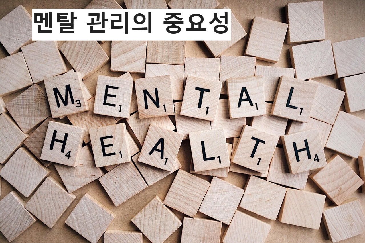 정신 건강