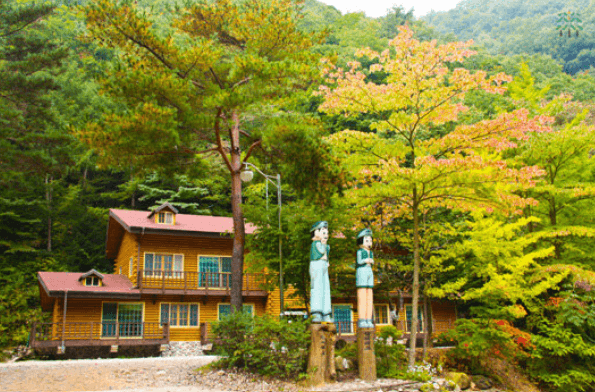 국립 통고산 자연휴양림