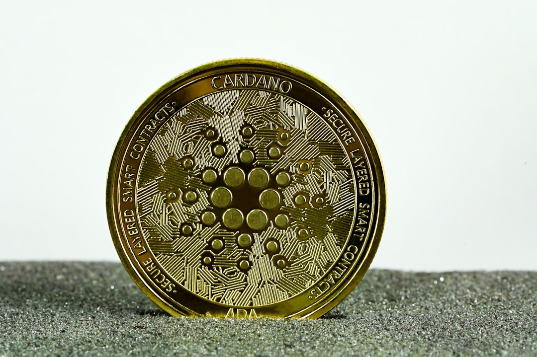 Central Bank Digital Currency (CBDC)