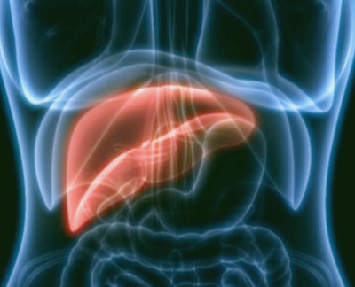 담도암 이란&amp;#44; 증상과 생존율은?