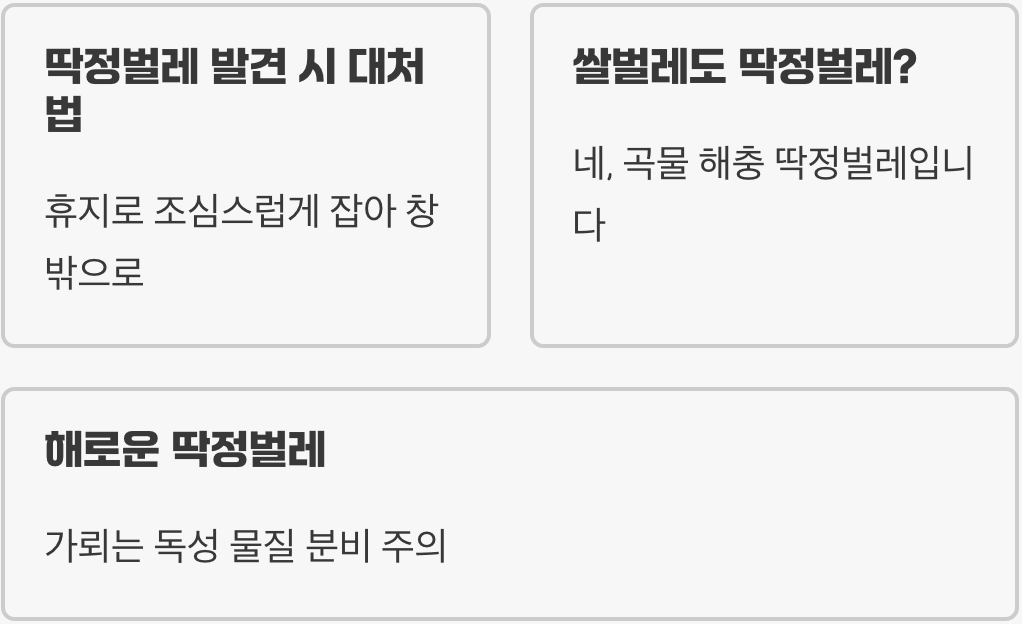 바퀴벌레인 줄 알았죠? 집에 나타난 딱정벌레 1분 만에 구별하는 법