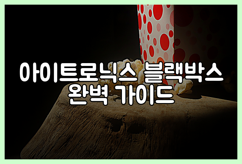 아이트로닉스 블랙박스 완벽 가이드