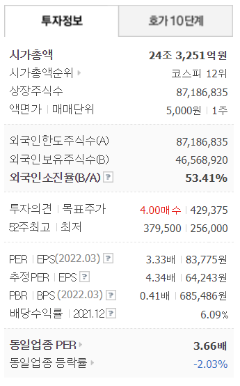 포스코홀딩스 투자정보