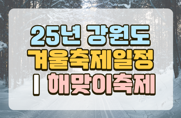 강원도축제
