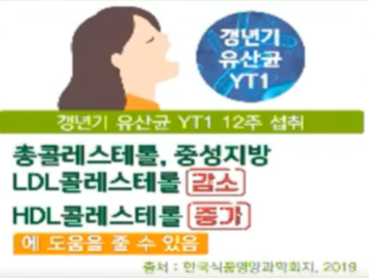 갱년기 유산균 yt1