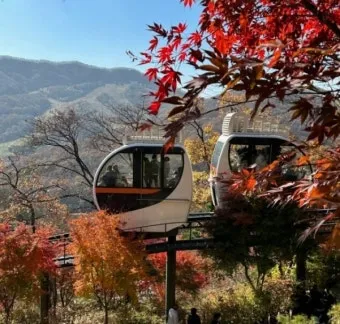 화담숲 예약하기 화담채 예약으로 절차정리_8