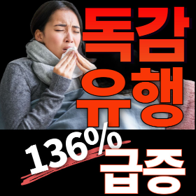 독감 증상