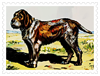 가시 돋친 이름