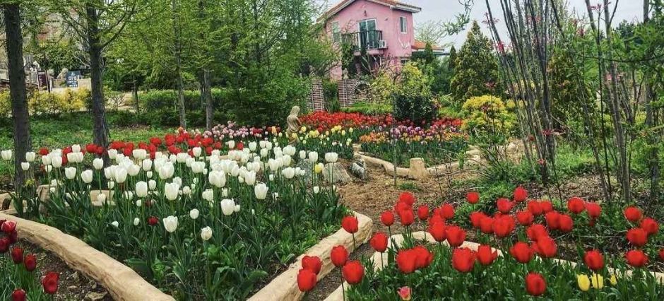 태안 가볼만한곳 베스트10