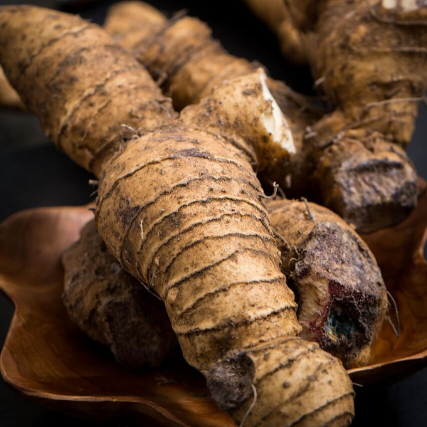 경옥고 가격 효능 사진 2