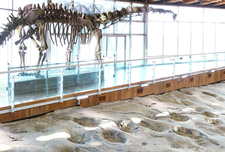 해남 공룡박물관