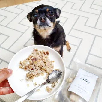 노령견 신부전2기 자연식 화식 레시피 건강식_25