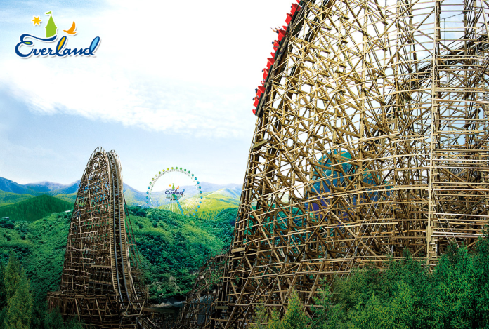 티익스프레스 좌석별 후기 - 앞자리 vs 뒷자리 vs 중간 완벽 비교