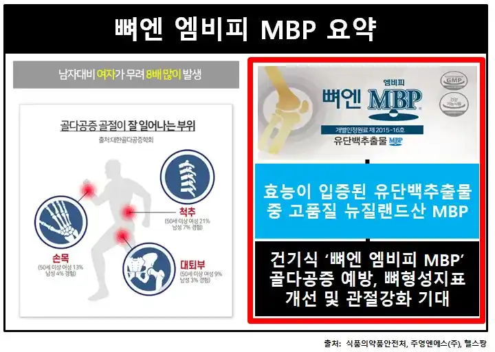뼈엔엠비피요약
