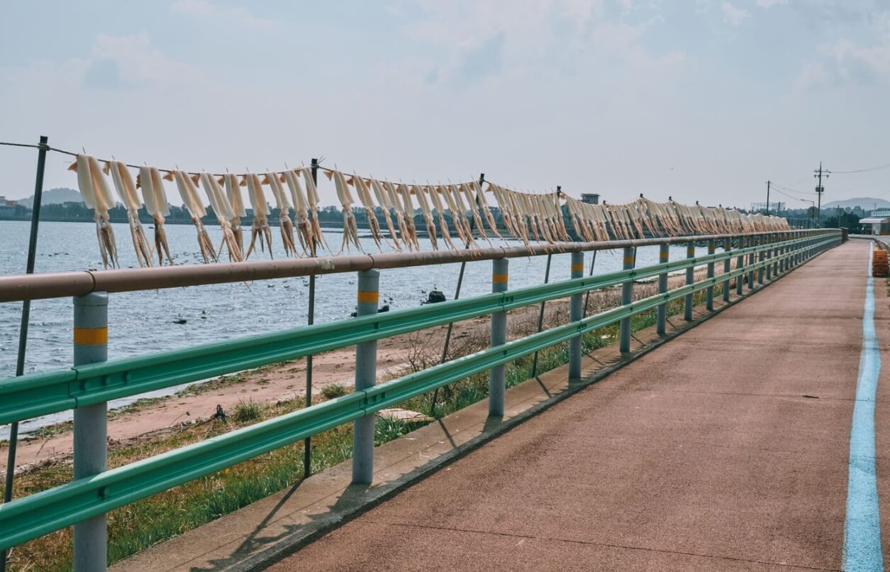가족과 함께하는 제주 올레길 1코스 맛집 숙박 여행 팁👨&zwj;👩&zwj;👧&zwj;👦 