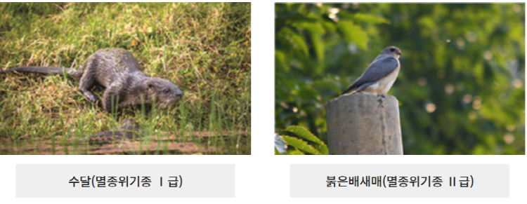 문경 돌리네습지