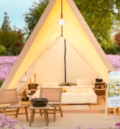 순천만 국가 정원 가든스테이 모습