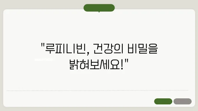 루피니빈(Lupin Bean), 건강에 좋은 슈퍼푸드 효능과 조리법