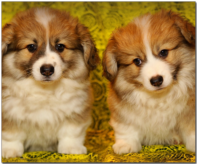 ์๊ธฐ ์ฐ์์ฝ๊ธฐ ๋๋ง๋ฆฌ