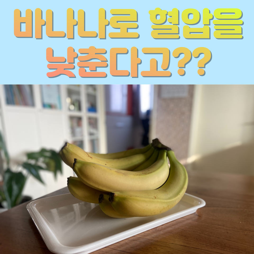 바나나로 혈압을 낮춘다고? 썸네일