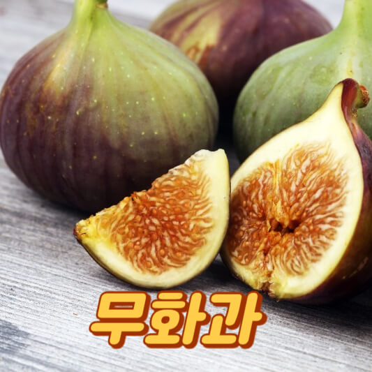 무화과