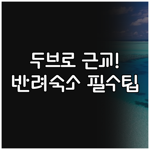 두브로브니크 근교 슬라노 시판섬 반려..
