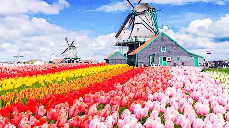 봄 커플 여행지 해외 추천 BEST 7 - 큐켄호프