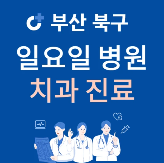 부산-북구-일요일-치과-진료하는곳-주말에-문여는-북구-24시간-치과-병원-찾기