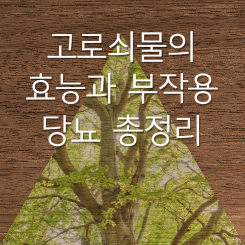 고로쇠물의 효능과부작용 당뇨 총정리