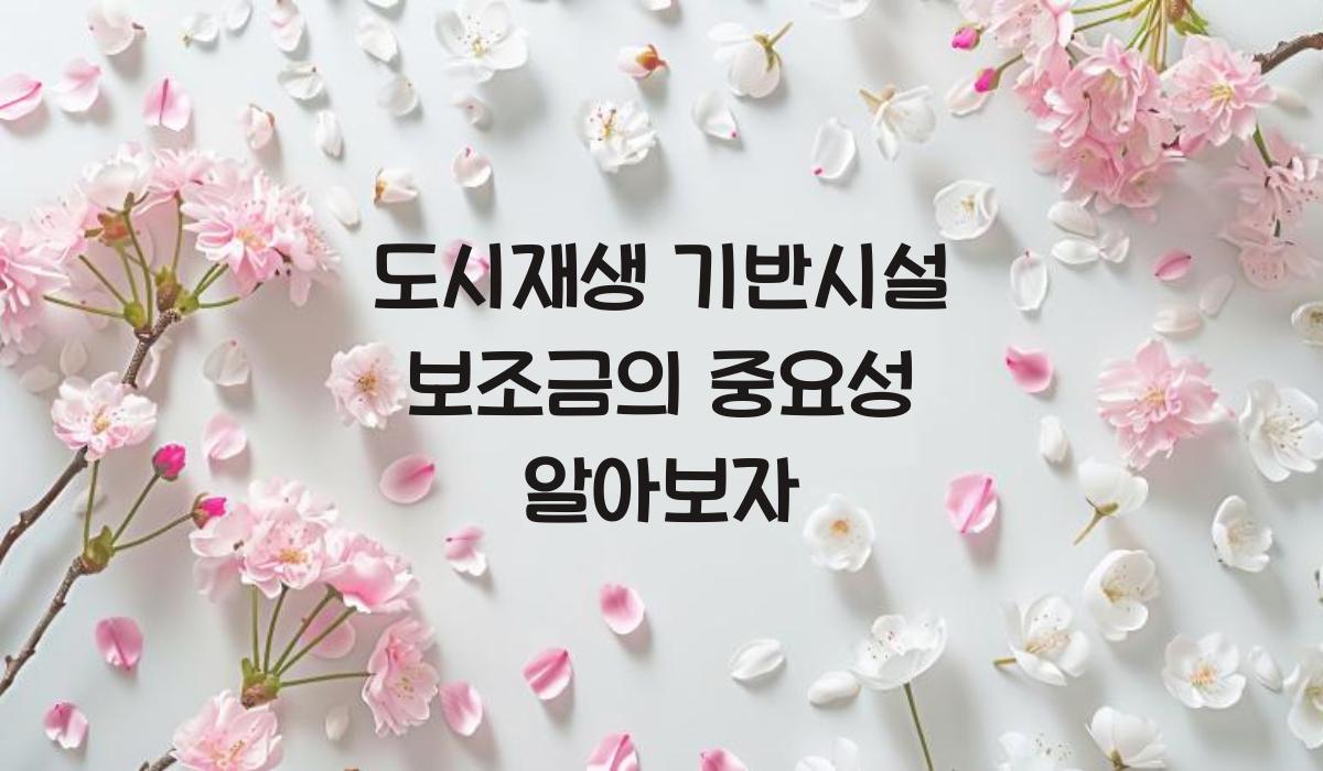 도시재생 기반시설 보조금