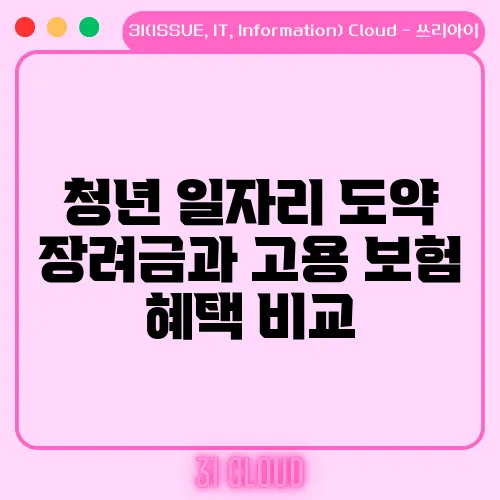 청년 일자리 도약 장려금과 고용 보험 혜택 비교