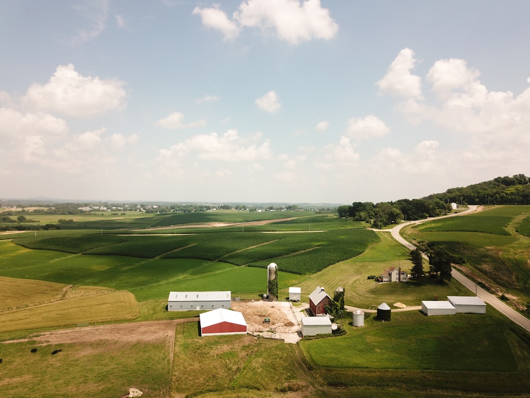 Rural