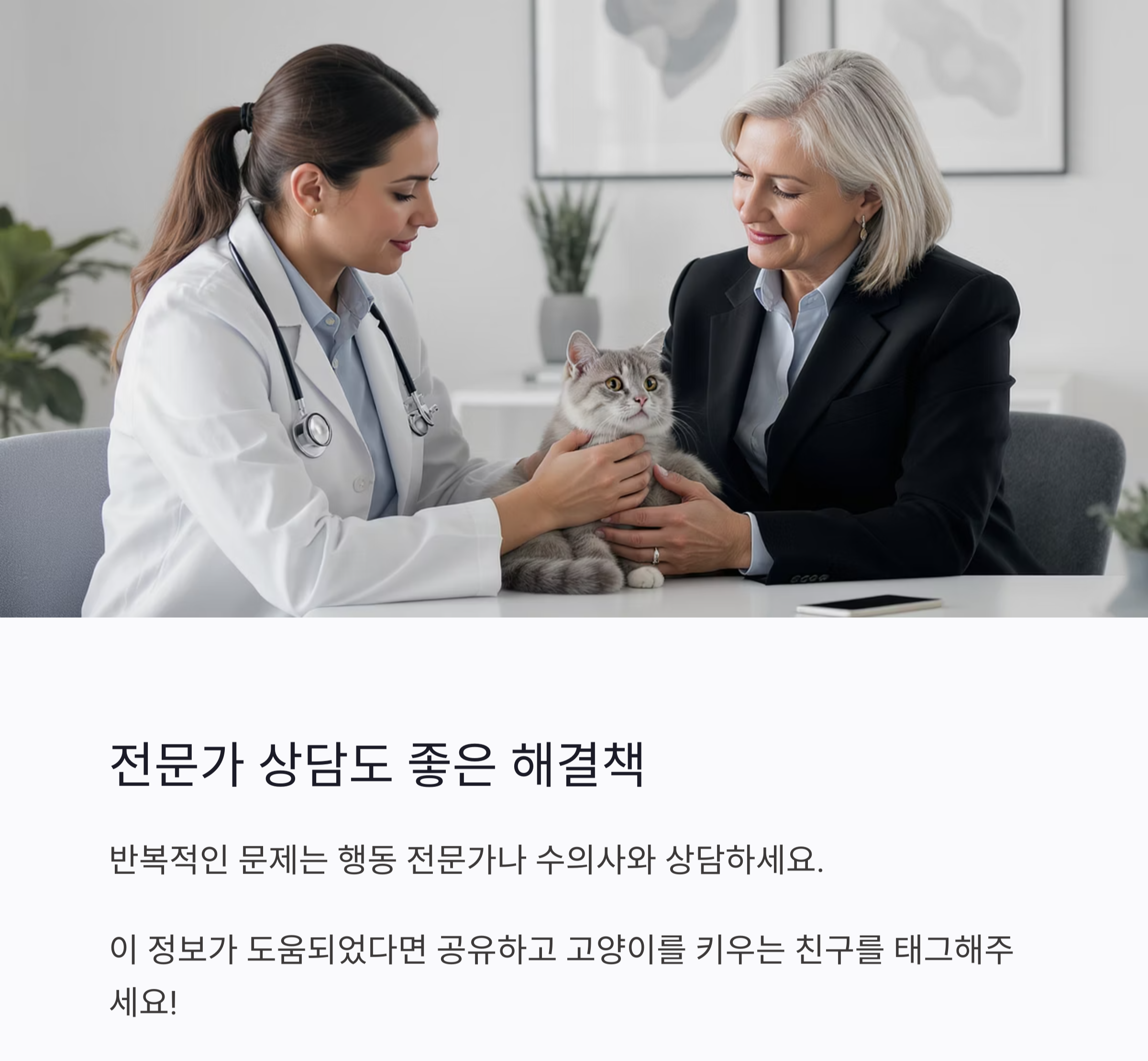 고양이의 화장실 문제, 원인부터 해결까지 한 번에 정리