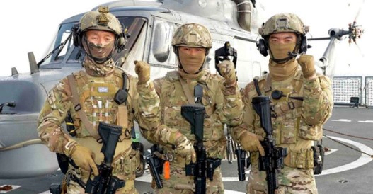 청해부대 창설배경