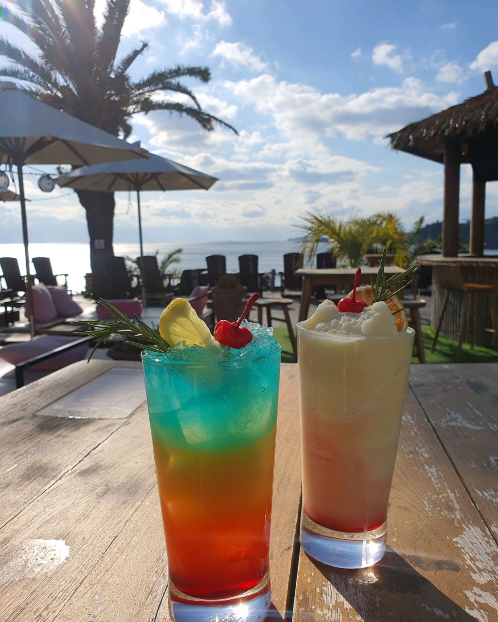 제주도 반려견 동반 맛집&amp;카페 : 동반 식당&amp;#44; 카페 추천